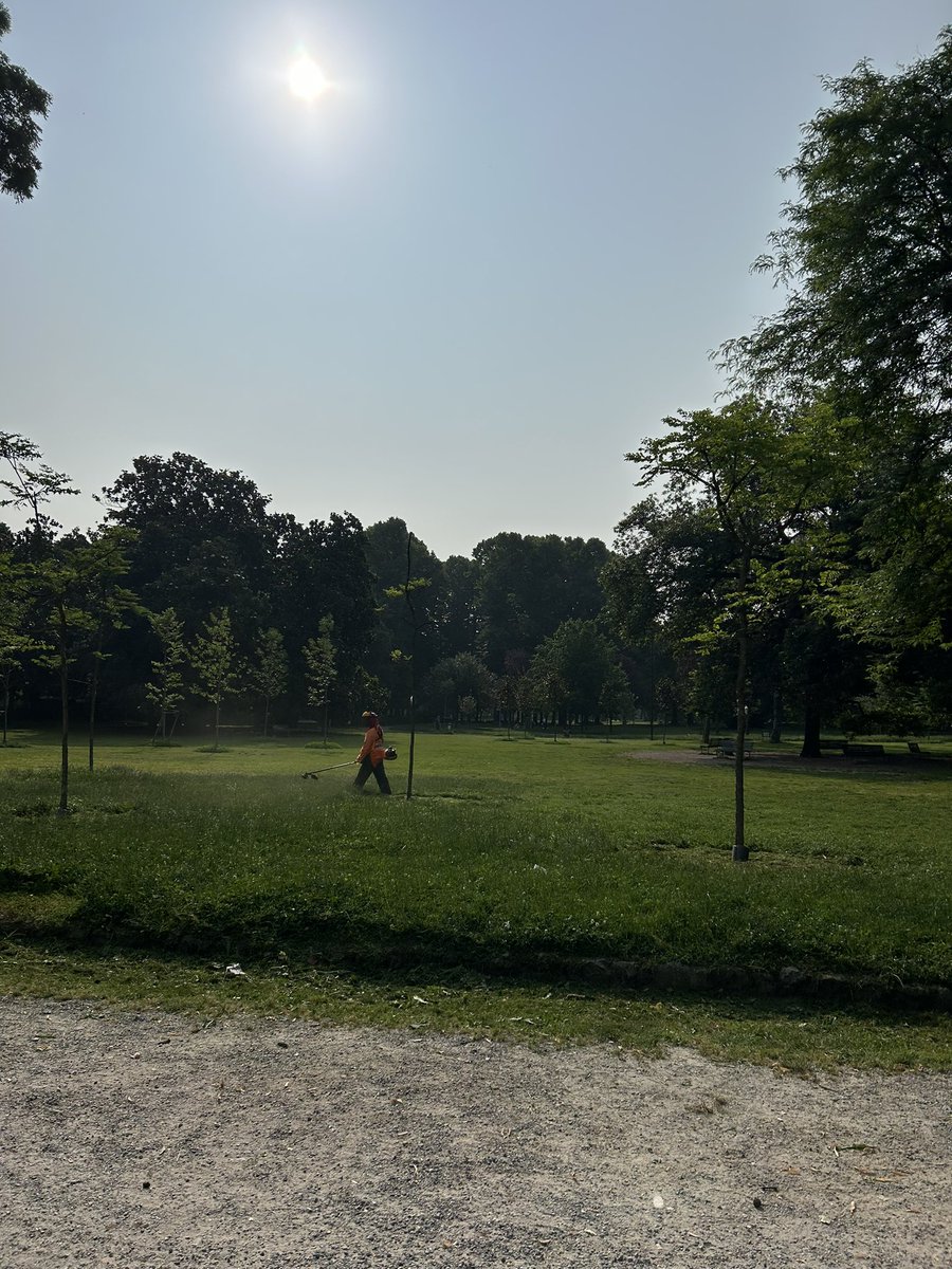 laurettic's tweet photo. Il parco di Palestro è il più bello di Milano ma ha anche una manutenzione che non vedo in nessun altro parco. Erba tagliata, cestini grandi e per la raccolta differenziata, fontanelle. Mi chiedo perché non possano esserci gli stessi servizi in altri parchi dedicati ai bambini https://t.co/ym6aUrHLGs