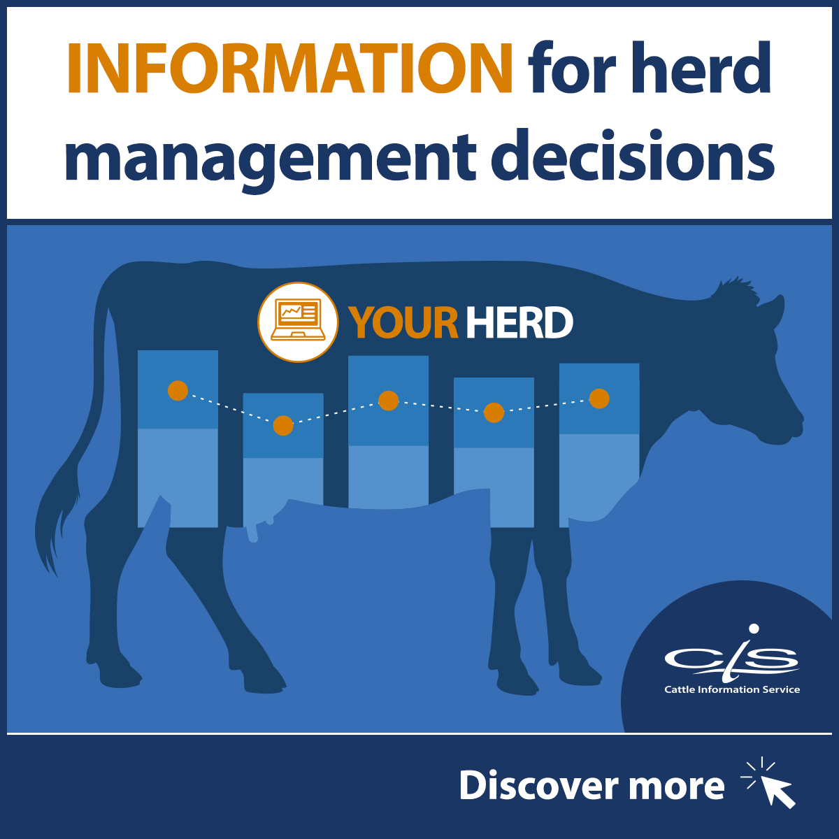 The information provided by our services enables you to view the complete picture of your herd as well as investigate individual cows to make essential management decisions to maximise the herd’s output and profit. 
Learn about our services:  thecis.co.uk/Services