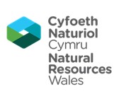 ECRR Network tweet media