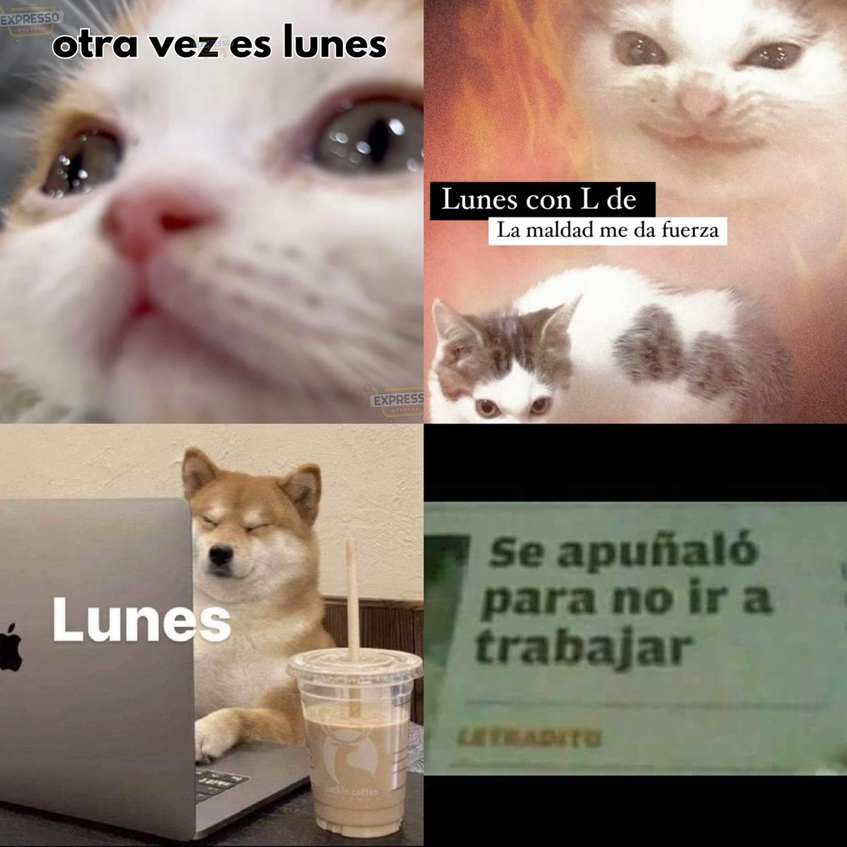 Elijan su mood de lunes ☝🏻