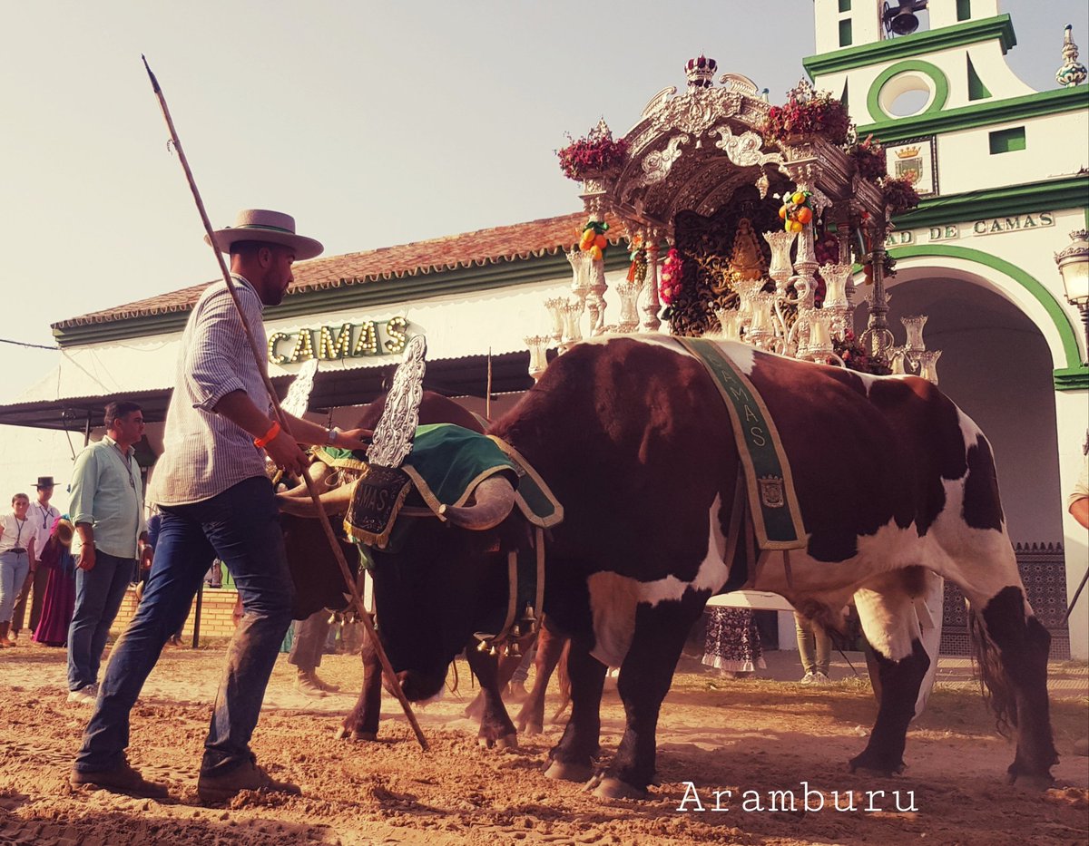 C • A • M • A • S
<a href="/HdadRocioCamas/">Hdad. de Ntra. Sra. del Rocio de Camas</a> 
<a href="/RocierosdeCamas/">Rocieros de Camas</a>