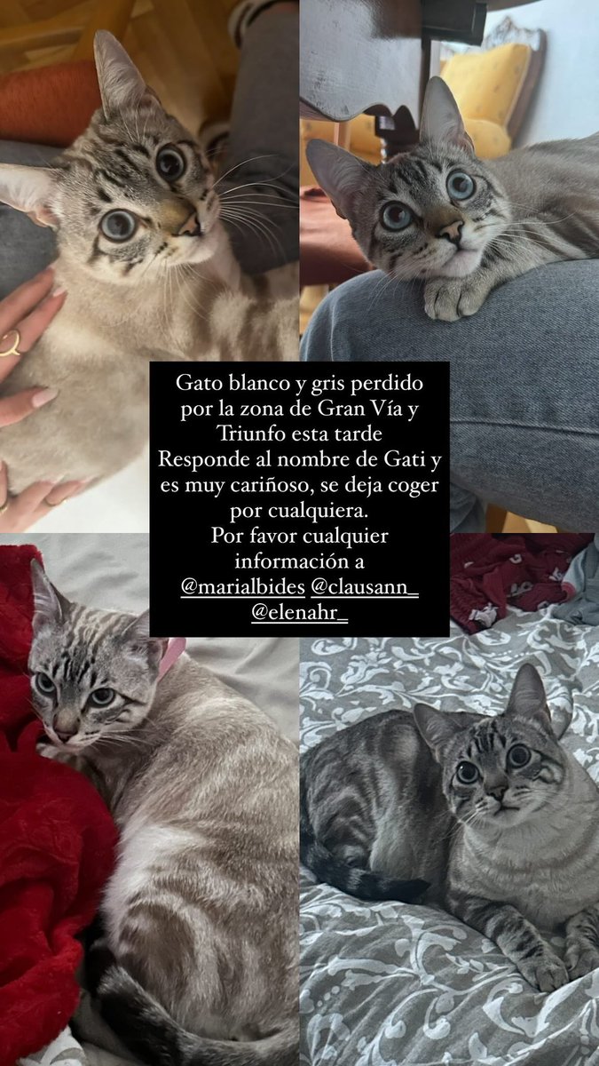 Elenii🦋 (@elenahr8) on Twitter photo 