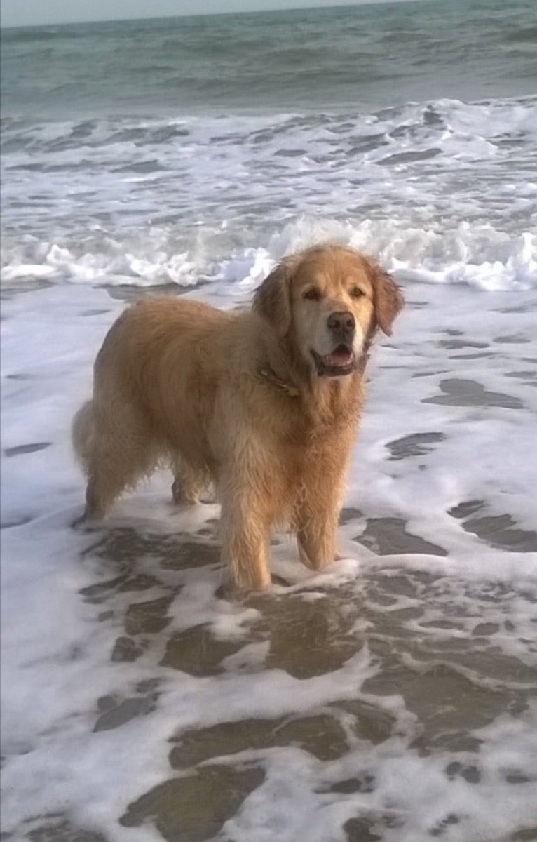 Happy Birthday Vee XX