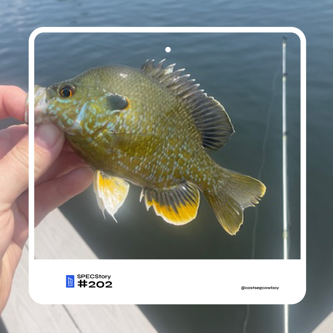 SPECS Story #202:
@thecostsegcowboy was once finishing a property tour of a wedding venue when the owner said, “Hey, Brian, I hear you like fishing!” and brought him over to the lake on the property. A couple weeks later, the study was delivered- with a pic of the catch attached.