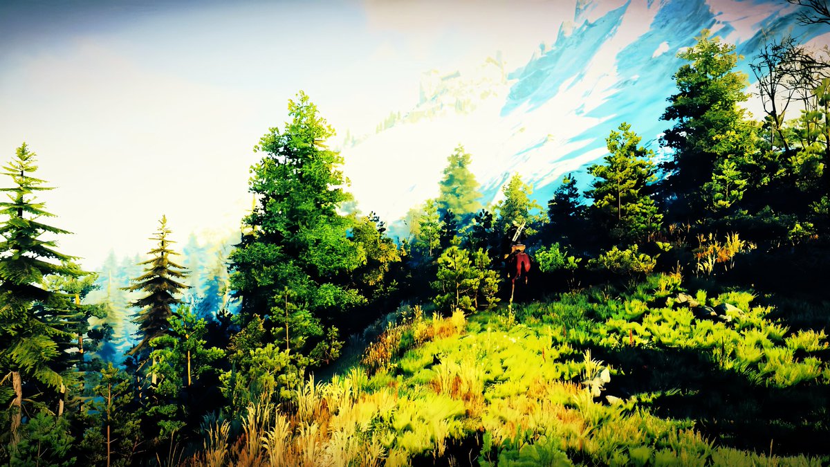 The Witcher 3 ⚔️…

#TheWitcher   #PS5 #VirtualPhotography #TheCapturedCollective  #ThePhotoMode