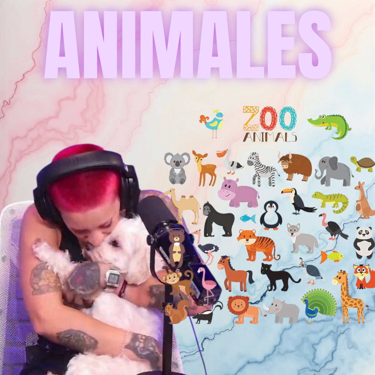 DESAFIO TRENDSFURIA ❤️

-Comenten con el TT "Animales" 

OBJETIVO: 
-600 Comentarios 
-60 RT 

FUERA DE JODA