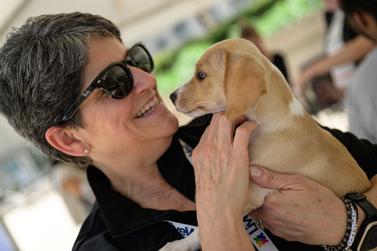 We had some adorable furry friends at our downtown Winston-Salem, NC headquarters! The Health &amp; Wellbeing team and Marketing Engagement Committee partnered with local Animal Adoption &amp; Rescue Foundation Inc. (AARF) to bring a boost to our employees’ day. We’ve heard a couple pups