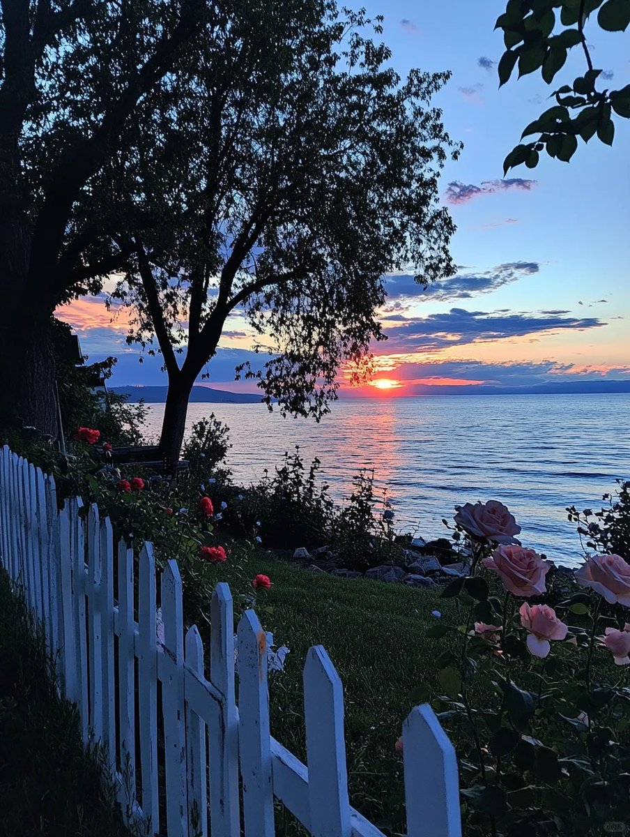 夜空の下、湖畔庭園の夜景〜