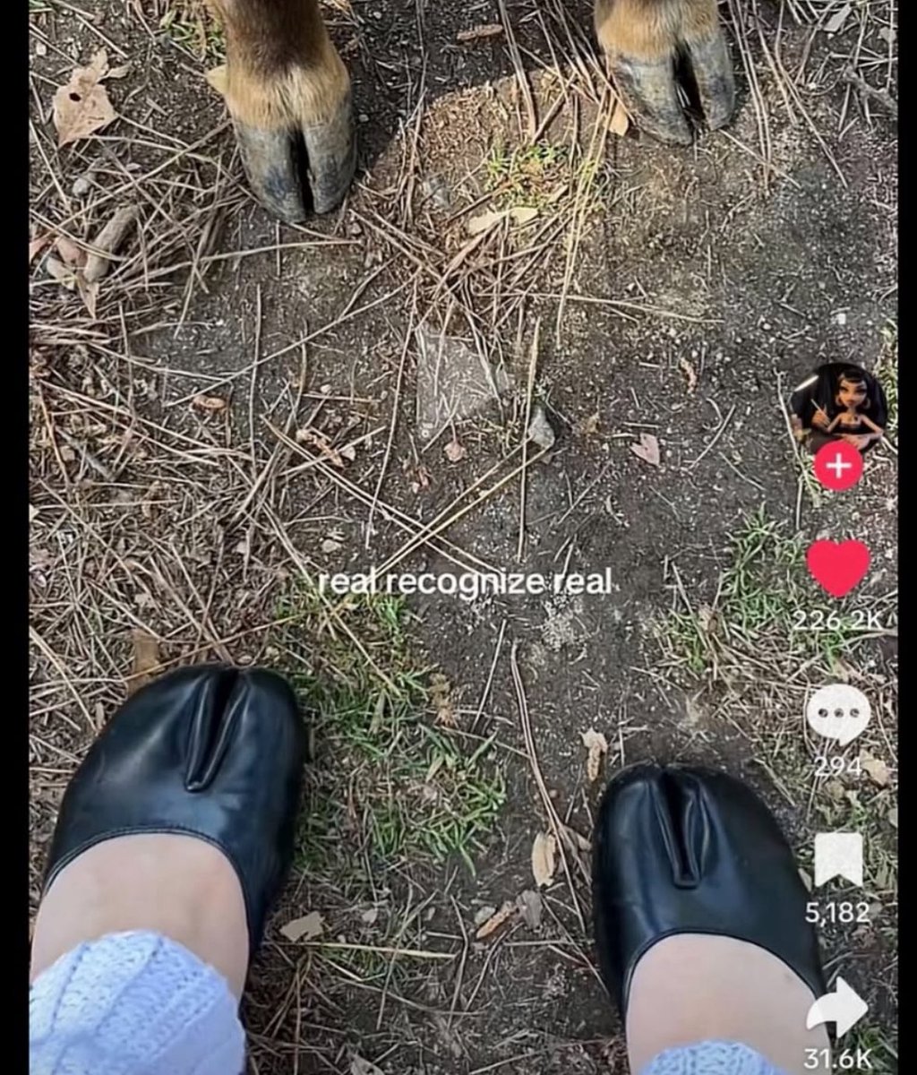 RespectfulMemes's tweet image. 