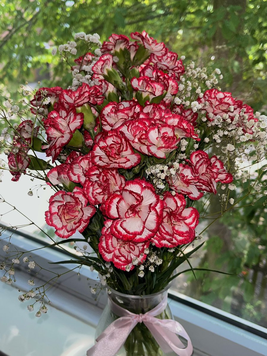 idealidil's tweet image. not tulips but i want to keep this thread going! I got some carnations this week 🥰