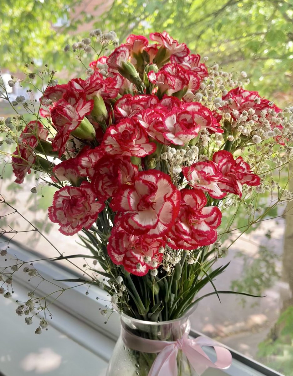 idealidil's tweet image. not tulips but i want to keep this thread going! I got some carnations this week 🥰