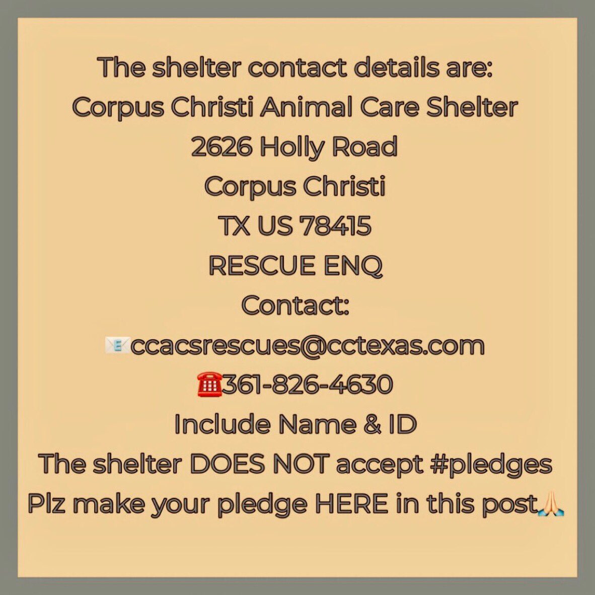 SamfromSpain's tweet image. Are they living on borrowed⏰or have their lives been taken⁉️
5😇s listed 2 die TODAY6/9 @ Corpus Christi AC 4 no good reason‼️
RAYA #A381415 1 yo
WILLOW #A381317 15 mo
CINNAMON #A380620 1 yo
MARILU #A381283 2 yo
MACY #A380686 4 yo
Gentle souls!
PLEDGE 4 #RESCUE
#ADOPT
Save them!