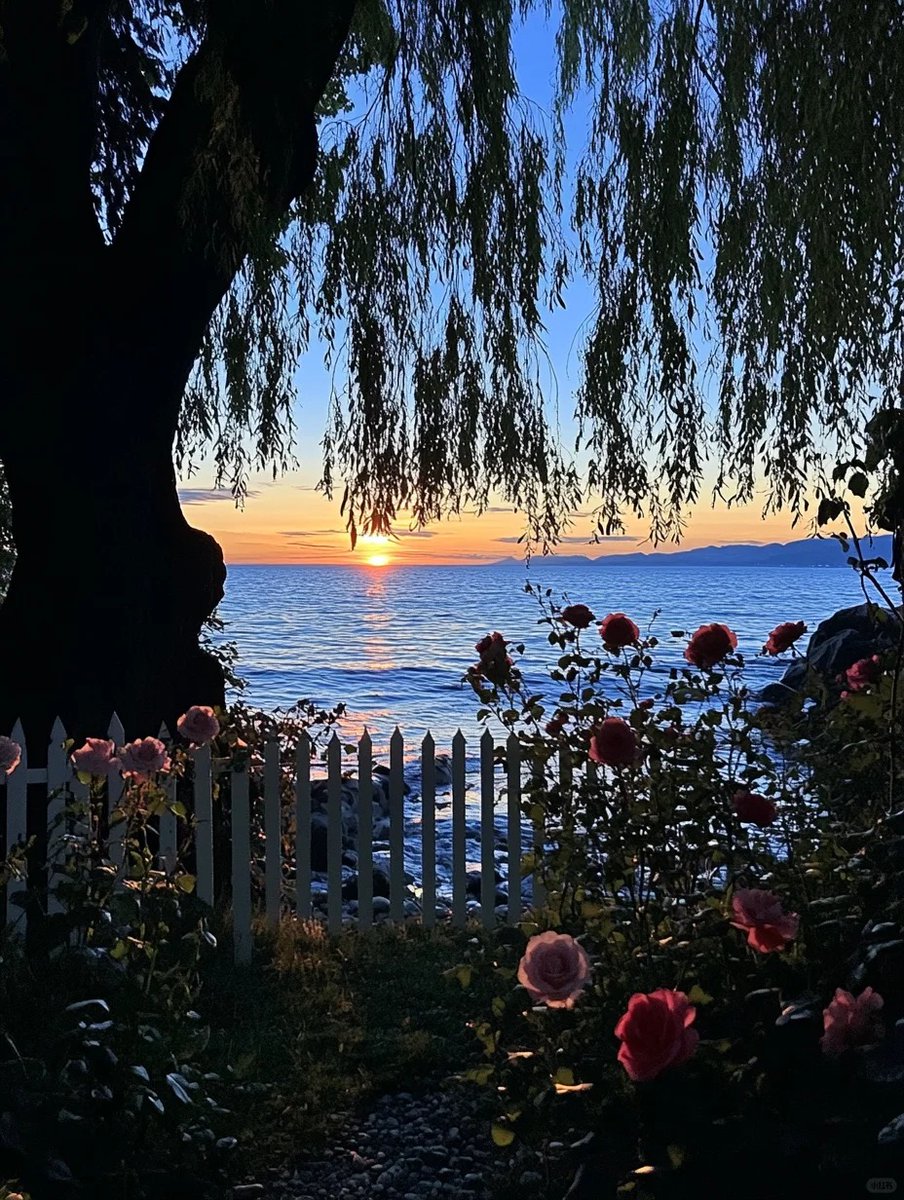夜空の下、湖畔庭園の夜景〜