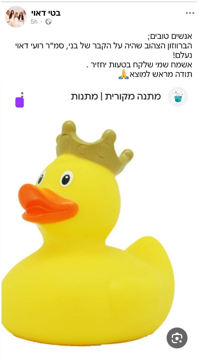 guy harel (@guy_rl) on Twitter photo כנראה בטעות או בחוסר תשומת לב הברווזון נילקח מהקבר של רועי ז״ל.
 צריך לדאוג שהוא יוחזר, פחות מעניין למה נעלם כנראה בטעות או בחוסר תשומת לב הברווזון נילקח מהקבר של רועי ז״ל.
 צריך לדאוג שהוא יוחזר, פחות מעניין למה נעלם