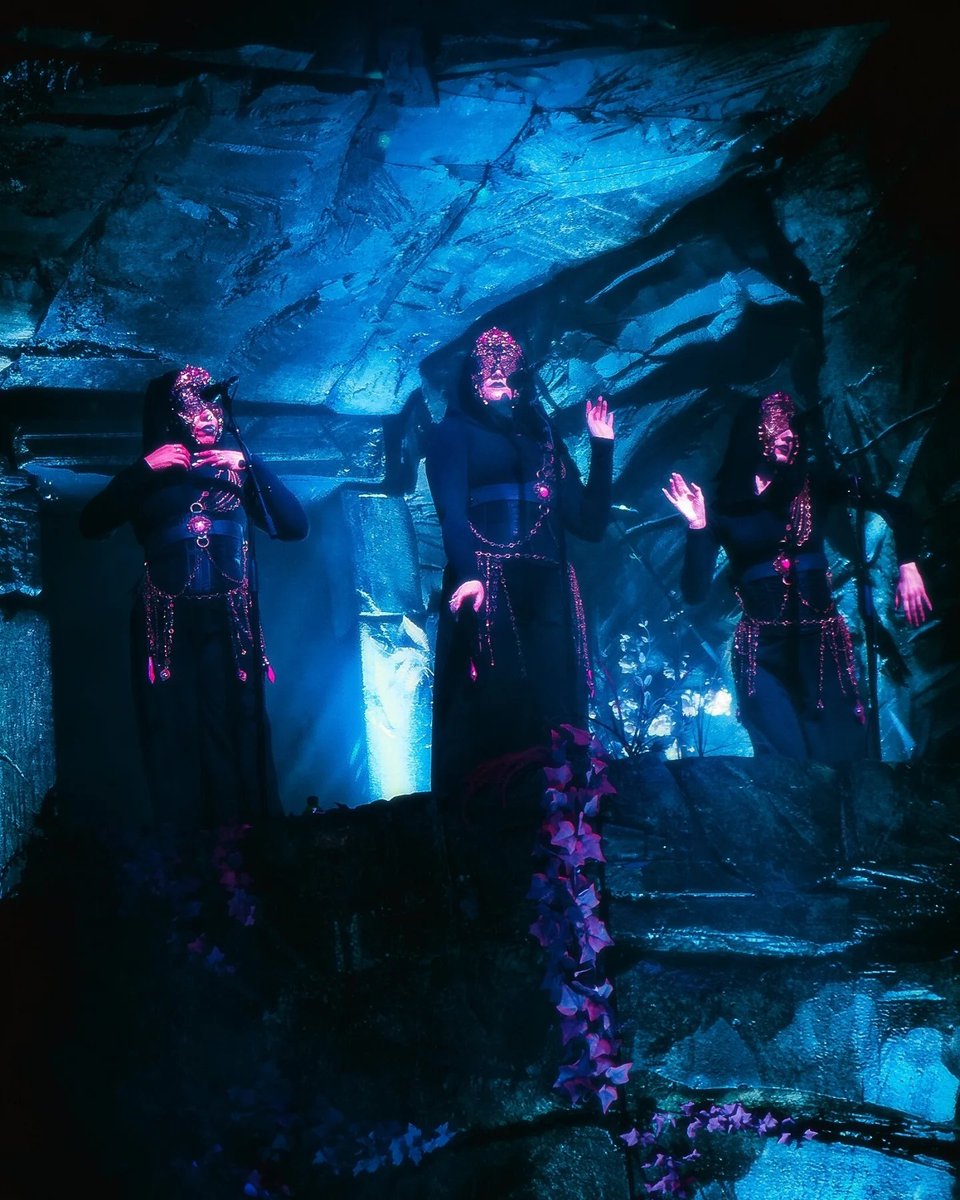 corv𝄞 seal 🦭 tweet media