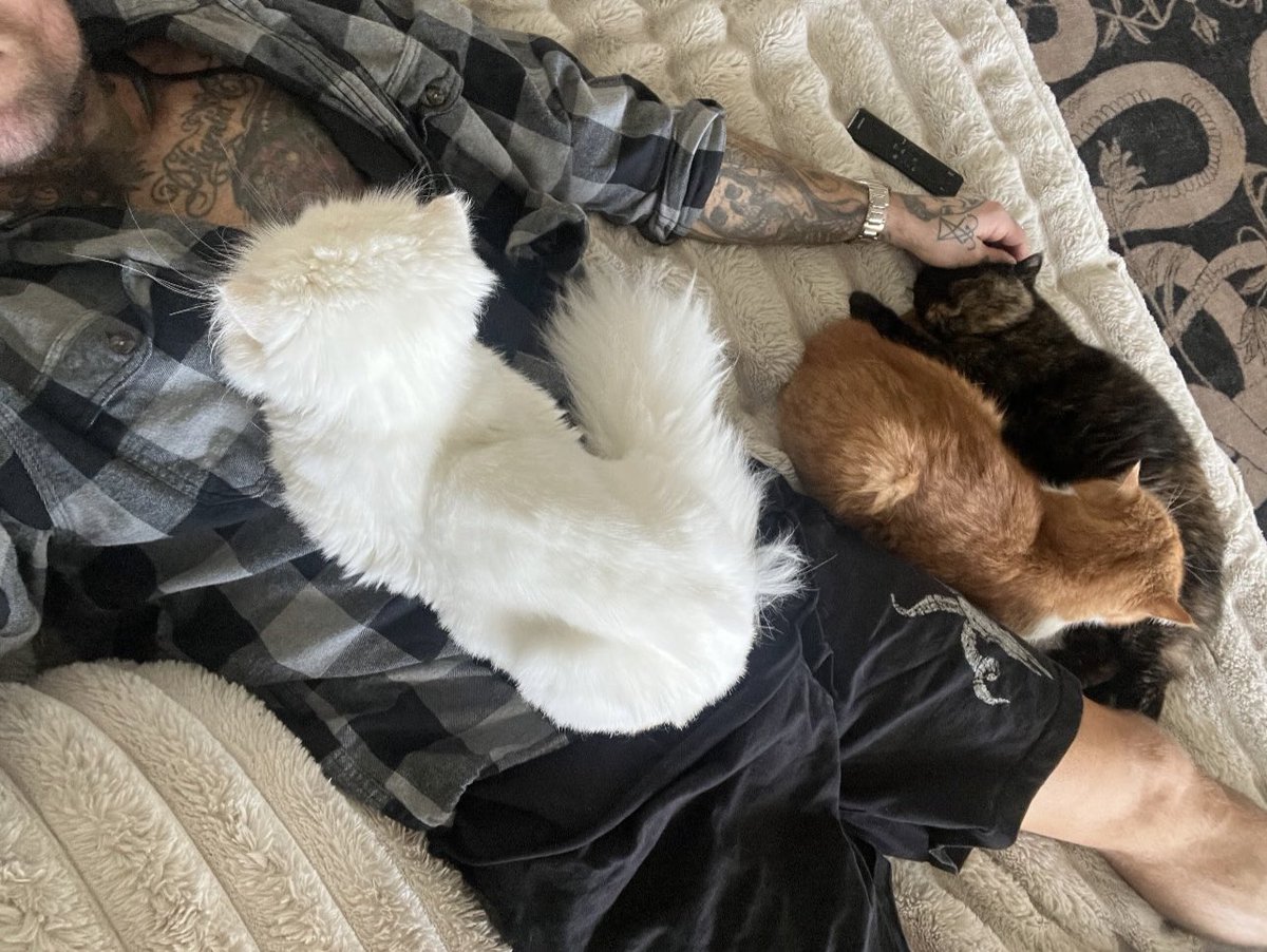 The Coffin cant confine me! ❃ NOT@AleisterBlack tweet media