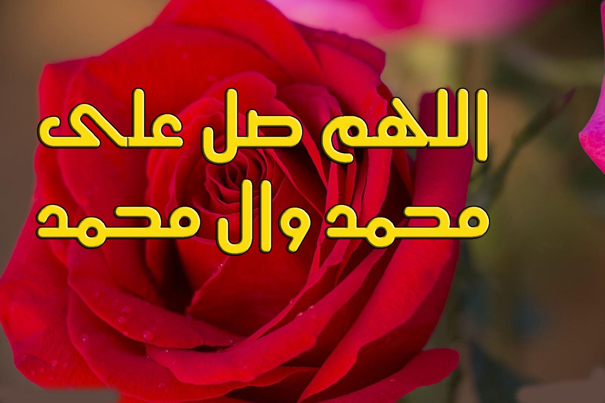 الثلاثاء 10 حزيران 13 ذي الحجة🌺
عن الامام الرضا عليه السلام🌺
من لم يقدر على مايكفر به ذنوبه فليكثر من الصلاة على محمد وآله فإنها تهدم الذنوب هدما
اللهم صل على محمد وال محمد🌺
صباح الخير والسلامة والايمان🌺