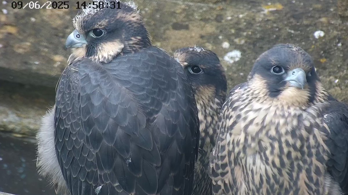 Does anyone look a bit guilty here? 😂😂😂