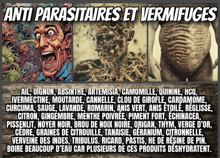 pres_reine's tweet image. Dans les vermifuges accessibles. Il y a.. .