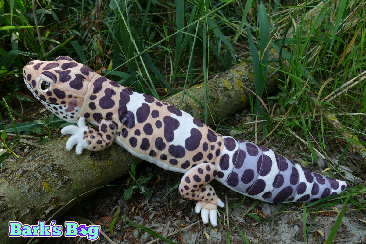 🏳️🌈 Bark´s Bog - 20% off all plushies 🏳️⚧️ tweet media