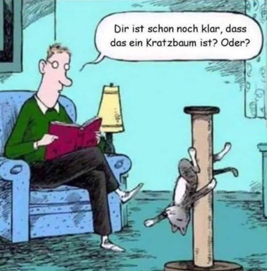 #sexyMieze   miau 😸