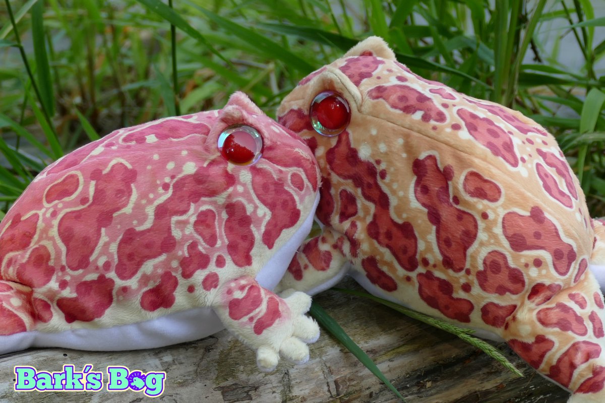 🏳️🌈 Bark´s Bog - 20% off all plushies 🏳️⚧️ tweet media