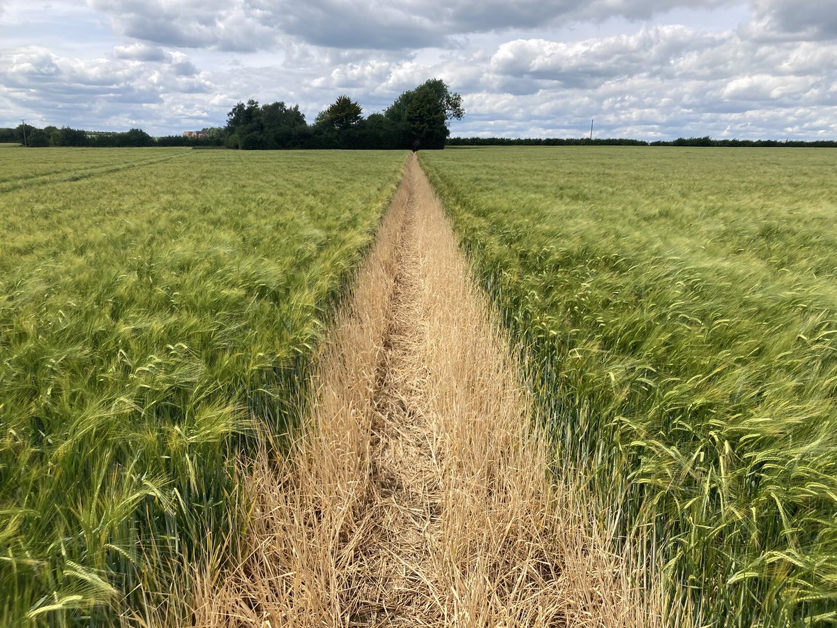 Mark Bills (@billsdirector) on Twitter photo 