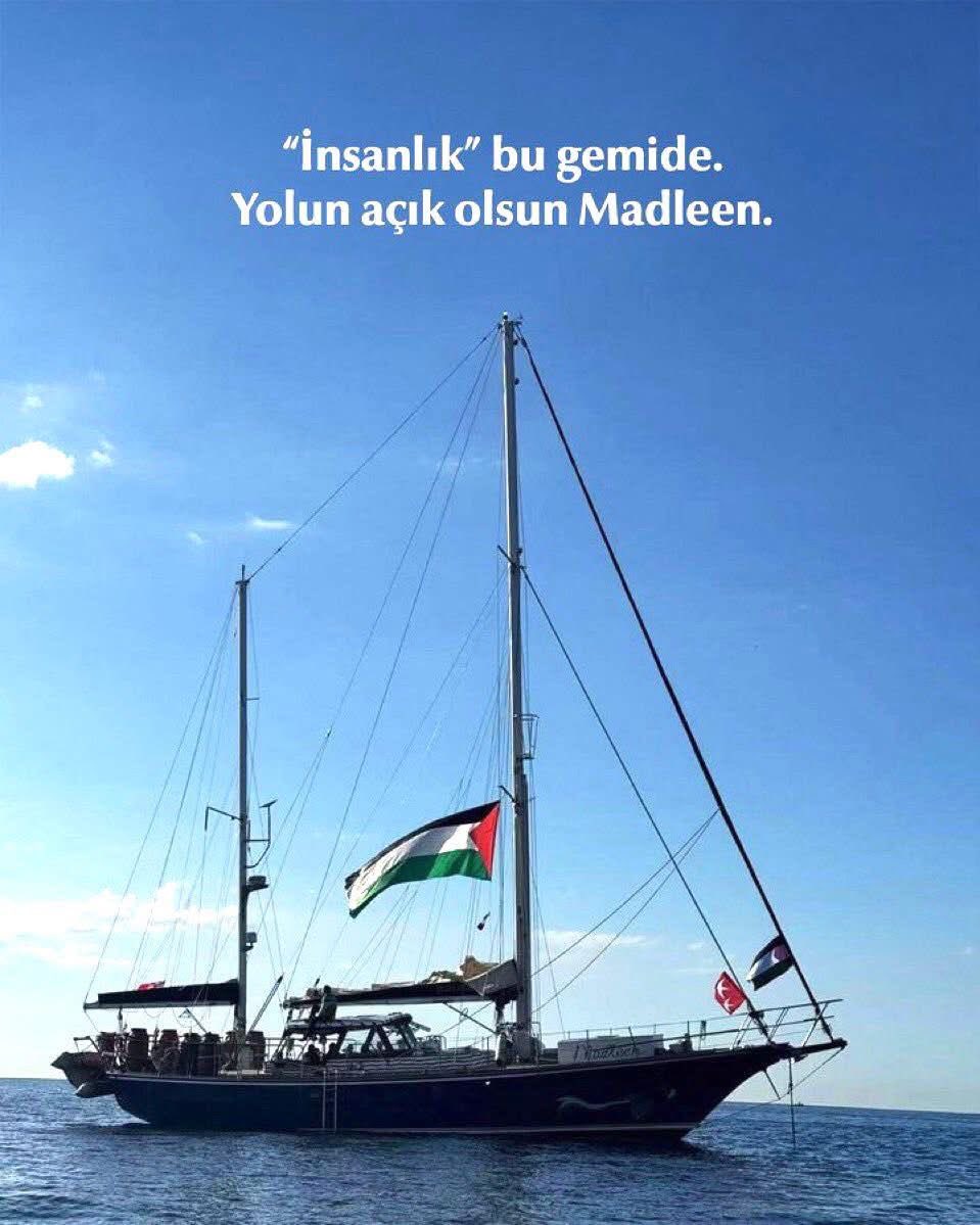 Şerif kurt (@erifkurt19) on Twitter photo 