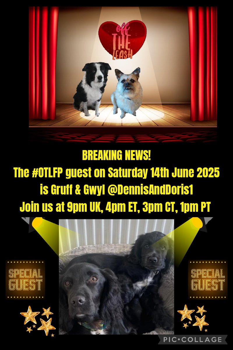 Millie🐾🌈Moose🐾🌈#OneForAllAndAllForMillie🐾 (@millieotlfp) on Twitter photo BREAKING NEWS!
Attention please
Our Guest for <a href="/OffTheLeashFP/">OffTheLeashFP 💔RIP Beautiful Millie&Sweet Pixie🌈</a> #OTLFP on
Saturday 14th June is
Gruff & Gwyl <a href="/DennisAndDoris1/">Gruff, Gwyl, and Angels Rosie, Dennis,Doris🌈 ❤️❤️</a>
Come along & Join the fun
9pm UK
4pm ET
3pm CT
1pm PT
Search🔎#OTLFP to join in & follow the show BREAKING NEWS!
Attention please
Our Guest for <a href="/OffTheLeashFP/">OffTheLeashFP 💔RIP Beautiful Millie&Sweet Pixie🌈</a> #OTLFP on
Saturday 14th June is
Gruff & Gwyl <a href="/DennisAndDoris1/">Gruff, Gwyl, and Angels Rosie, Dennis,Doris🌈 ❤️❤️</a>
Come along & Join the fun
9pm UK
4pm ET
3pm CT
1pm PT
Search🔎#OTLFP to join in & follow the show