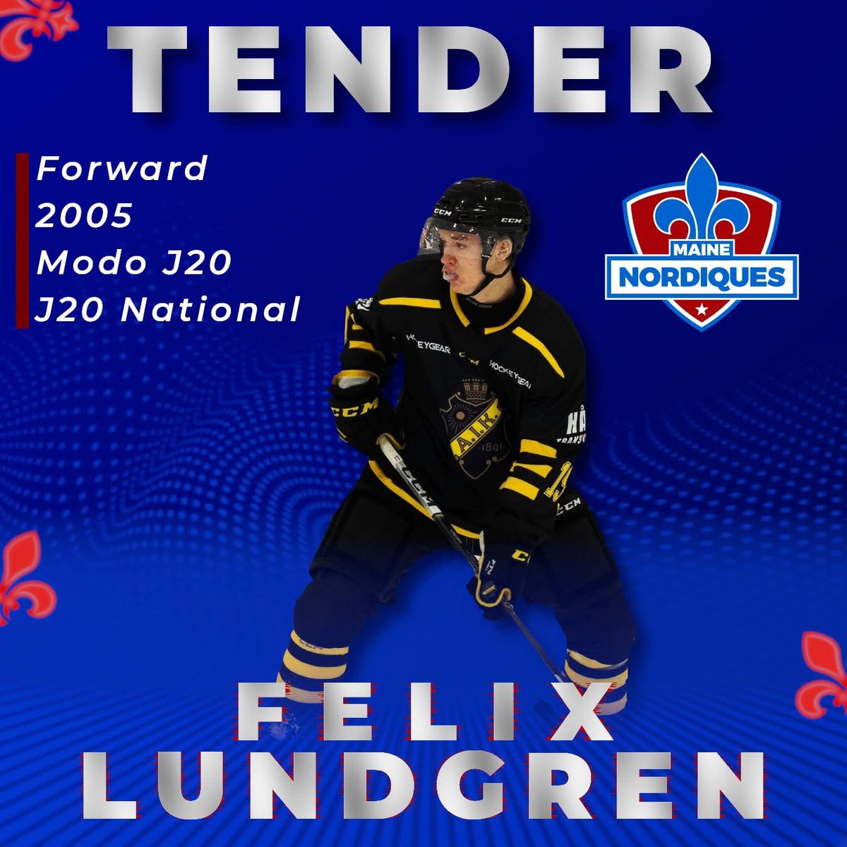Phenomenal Felix is a Nord!

We are pumped to announce that phenomenal Felix Lundgren is a Nordique as the high producing forward from Sweden looks to put up big numbers up front for us this season!

Welcome to Maine Felix!