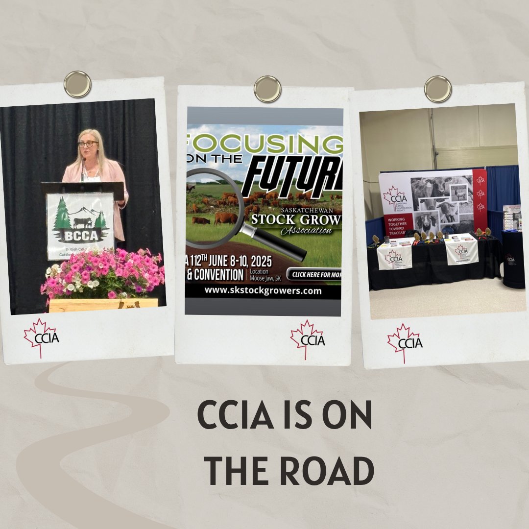 After presenting at the BC Cattlemen’s Association 97th AGM, Conference and Trade Show, General Manager Ashley Scott and the team have made their way to Moose Jaw for the Saskatchewan Stock Growers Association 112th AGM and Convention. Stop by booth 9. We’re here to help!