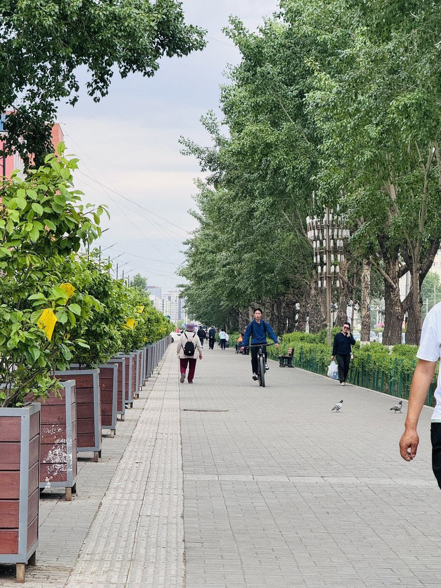 1 хороолол янзын болжээ🙏 дугуйн зам, явган хүний зам, ногоон байгууламж нтр байнаааа бна. Харин тэр хуучны угсармалууд л муухай гэж гялс л тэр дулаалга гдгийг нь хийж засахгүй бол халтайсан навсайсан юмнууд