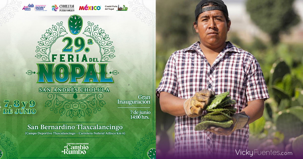 ⏰ La Feria del Nopal 2025 finaliza hoy en San Bernardino Tlaxcalancingo. Ofrece platillos con el cactus, talleres sobre cultivo y actividades culturales para las y los visitantes.

vickyfuentes.com/feria-del-nopa…