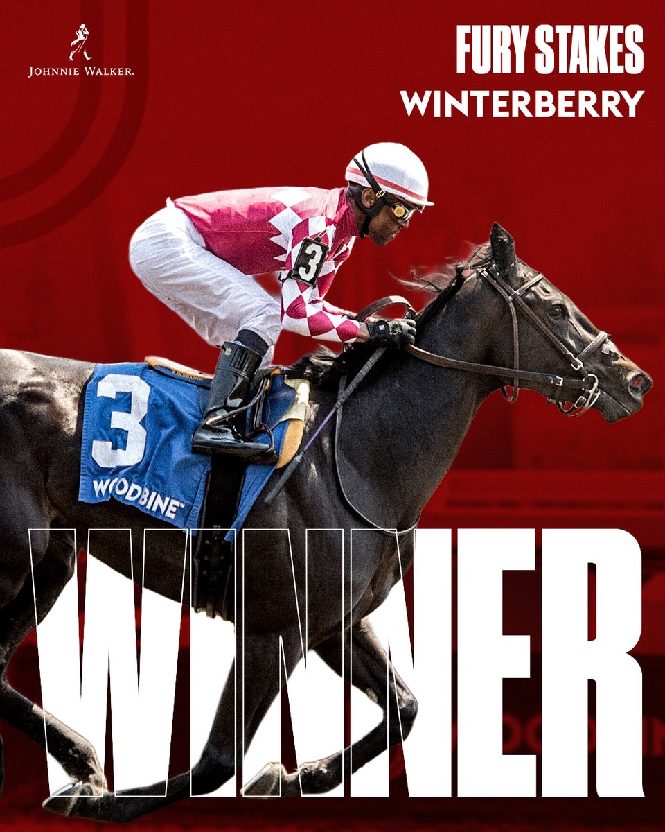 WoodbineTB's tweet image. Notorious Gangter's impressive rally in a key #K25 prep race, and Mark Casse's record 9th(!) Fury Stakes win spotlighted a beautiful weekend at Woodbine. 🏆
