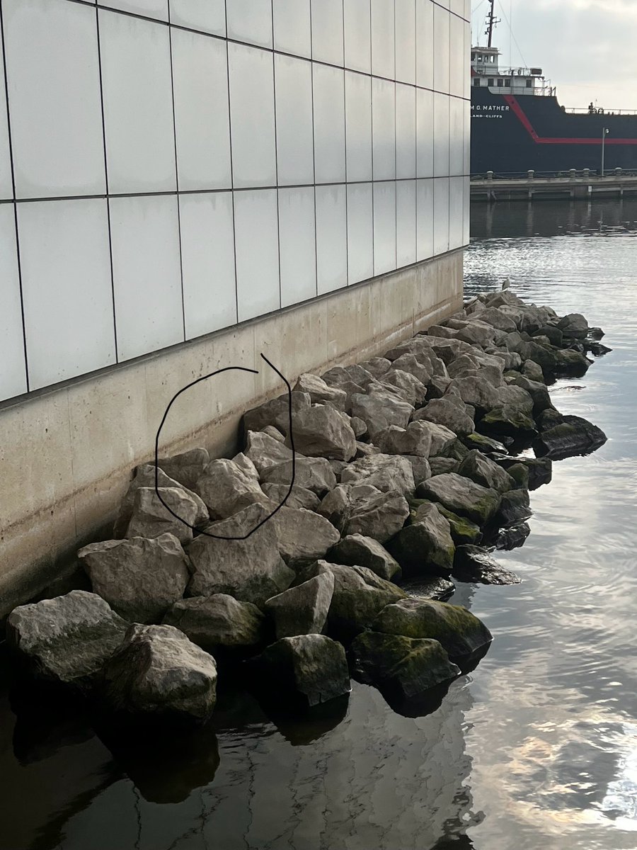 ClevelandFire (@clevelandfire) on Twitter photo Members of #CLEFIRE E2 responded on Marine 21 & rescued a deer stranded on rocks behind the Rock Hall yesterday. The exhausted animal was loaded into a stokes basket, strapped, down & relocated to the wooded area near Gordon Park. Thanks to <a href="/clevemetroparks/">Cleveland Metroparks</a> & ODNR for their help. Members of #CLEFIRE E2 responded on Marine 21 & rescued a deer stranded on rocks behind the Rock Hall yesterday. The exhausted animal was loaded into a stokes basket, strapped, down & relocated to the wooded area near Gordon Park. Thanks to <a href="/clevemetroparks/">Cleveland Metroparks</a> & ODNR for their help.