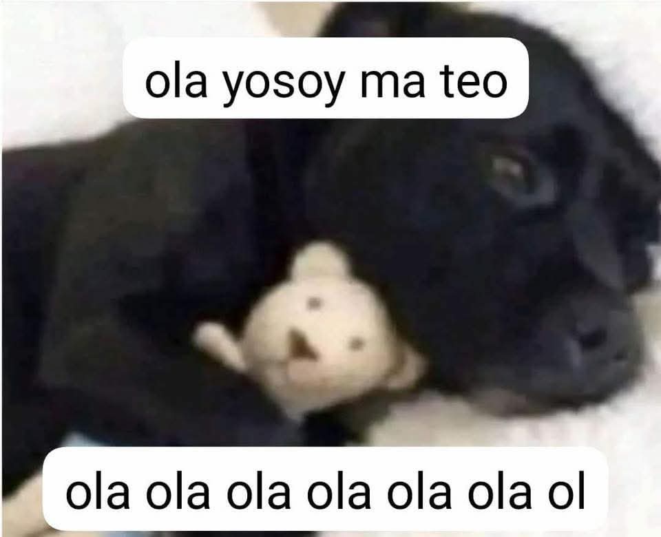 ivanaca ˆ𐃷ˆ🦫 tweet media