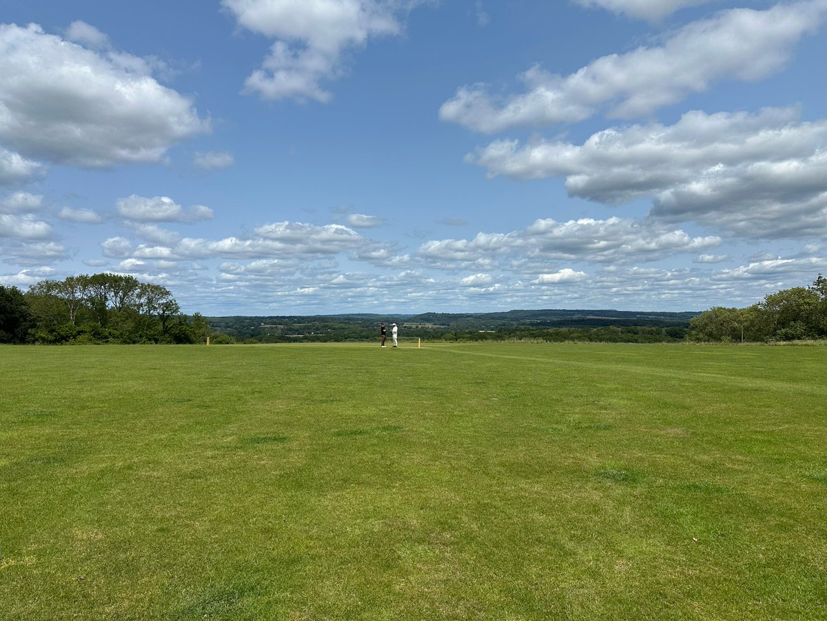 The Bushmen tweet media