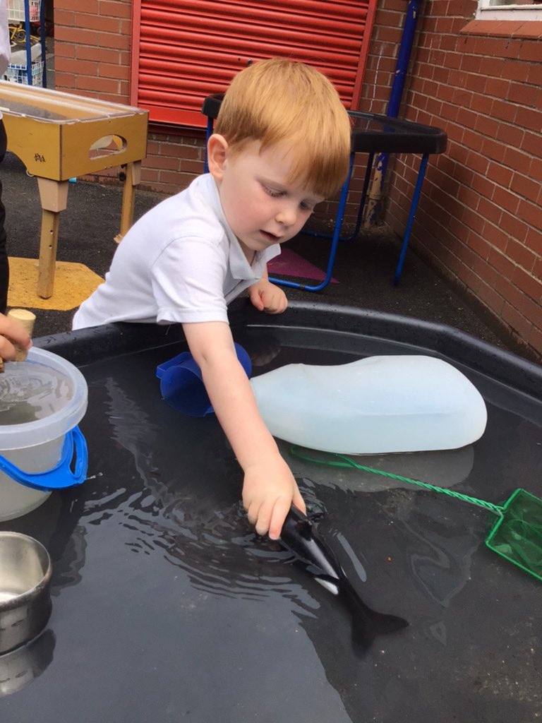 Nursery were straight back into it today, finding objects that float and sink! ⛵️

#eyfs #understandingtheworld #science #exploring #playing #thenaturalworld