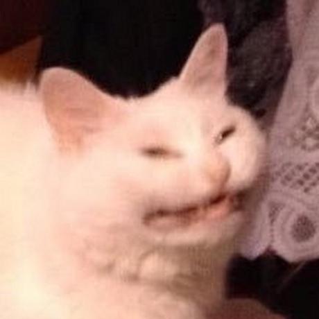 [$30K referral] Icon is looking for founding engineers to work 7-day weeks. We have 6 engineers (all ex-CTOs or dropouts). If you're an engineer, you can think of us as Cursor for Ads or an AI Chief Marketing Officer (CMO).

You likely have:
- Experience as a CTO, founder,