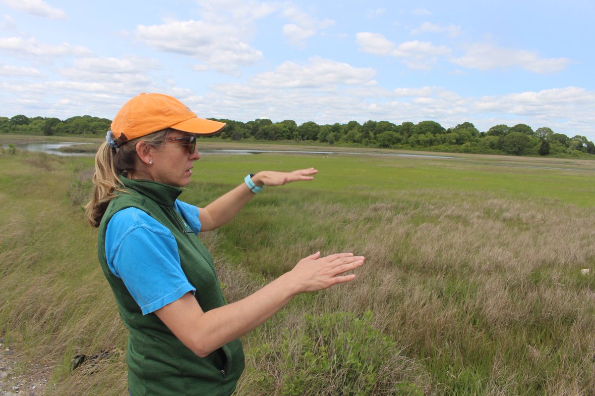 colleen_cronin's tweet image. The Narragansett Bay Estuarine Research Reserve has been open for decades, but federal funding issues threaten its mission of study, education, and stewardship. ecori.org/prudence-islan… @ecoRInews