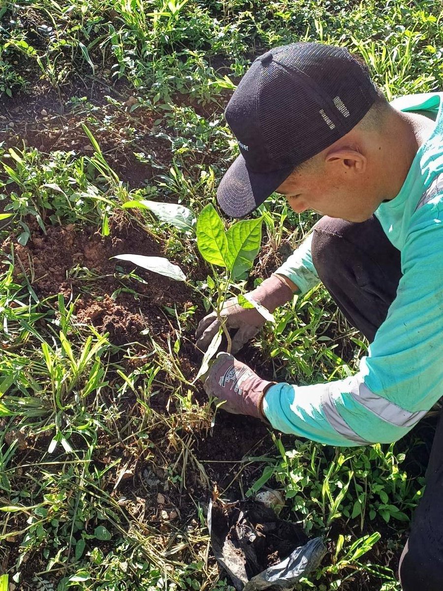 El Salvador News (@elsalvadornewsv) on Twitter photo ✅GOBIERNO IMPULSA JORNADAS DE REFORESTACIÓN A NIVEL NACIONAL
En el marco del Día Mundial del Medio Ambiente, celebrado el pasado 5 de junio, el Gobierno del Presidente <a href="/nayibbukele/">Nayib Bukele</a> ha intensificado su compromiso con el medio ambiente a través de jornadas de reforestación en ✅GOBIERNO IMPULSA JORNADAS DE REFORESTACIÓN A NIVEL NACIONAL
En el marco del Día Mundial del Medio Ambiente, celebrado el pasado 5 de junio, el Gobierno del Presidente <a href="/nayibbukele/">Nayib Bukele</a> ha intensificado su compromiso con el medio ambiente a través de jornadas de reforestación en
