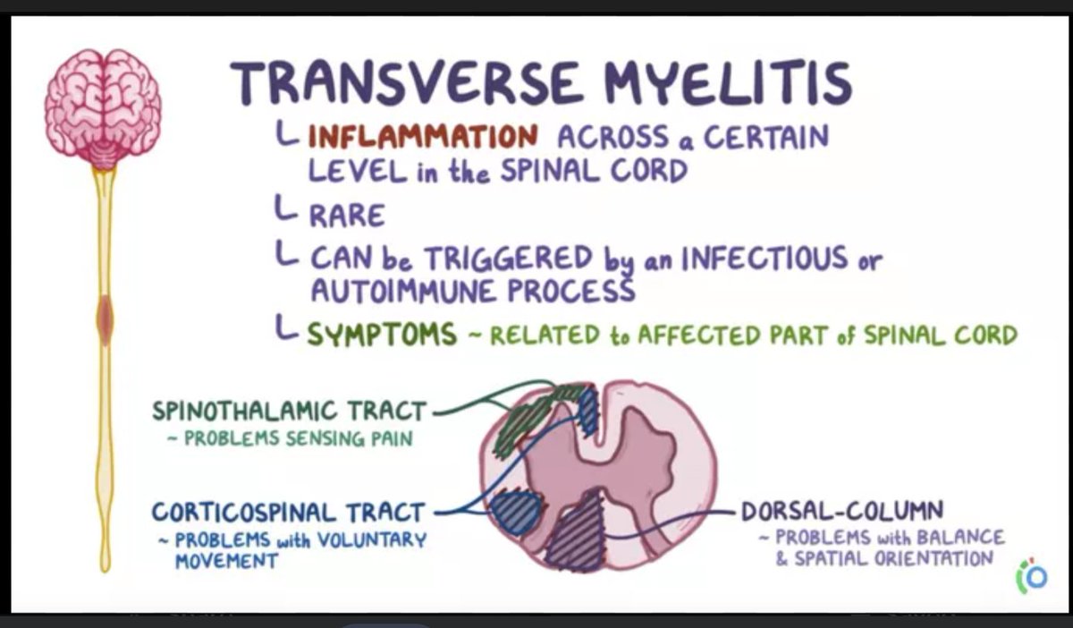 PlymUnit's tweet image. #TransverseMyelitis awareness day! Please help raise awareness of this rare condition that can be life changing to some. #raisingawareness #spinalinjury