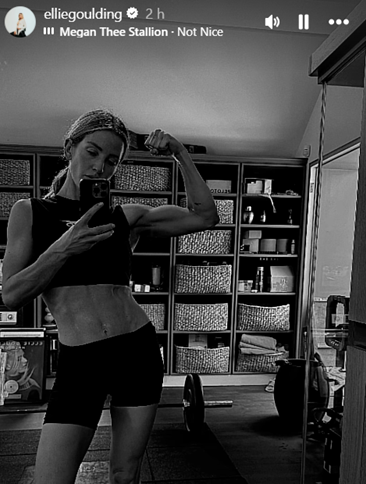 📱<a href="/EllieGoulding/">Ellie Goulding</a> uses 'Not Nice' by <a href="/theestallion/">TINA SNOW</a> in new Instagram story.