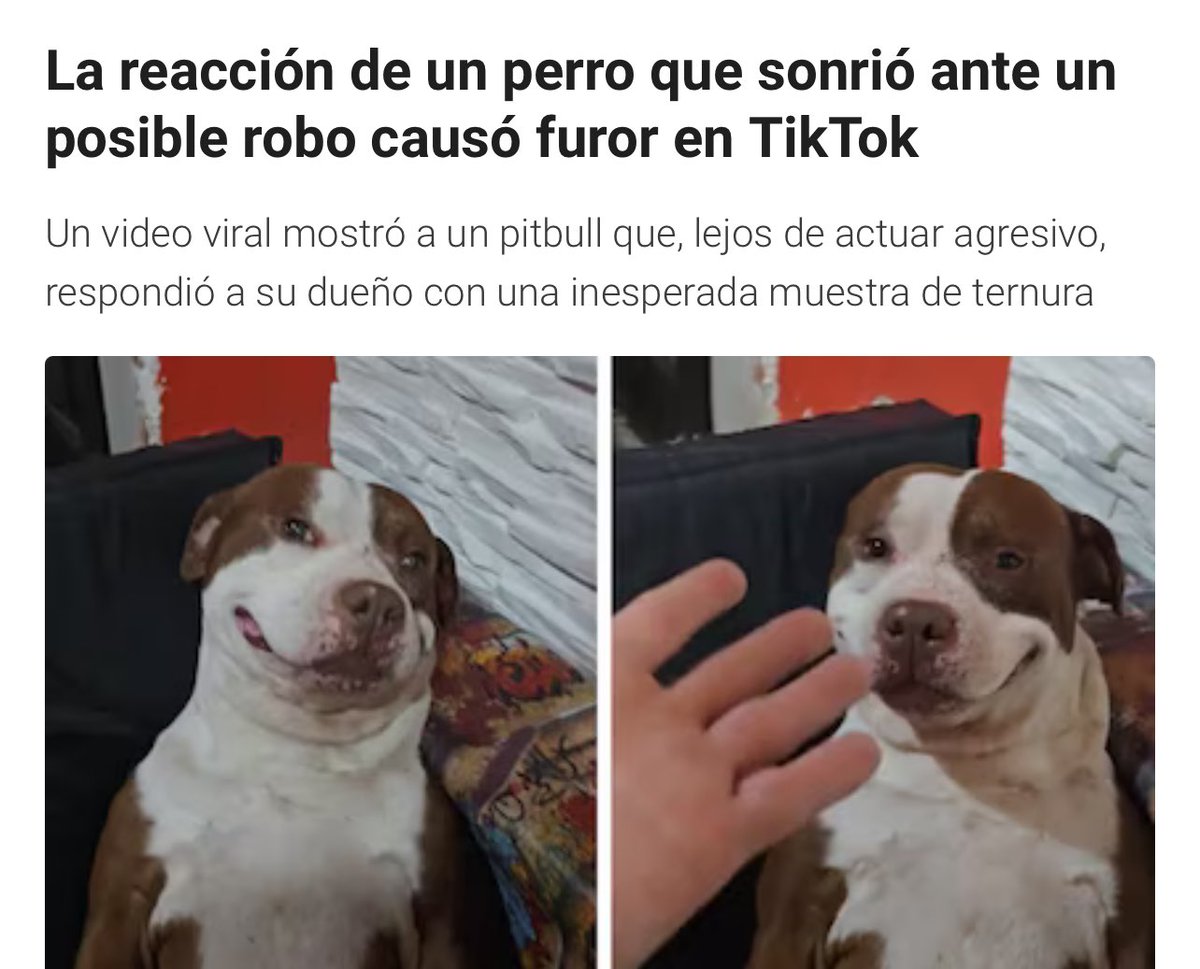 Kinxoc's tweet image. @ruleiro @eltalcha #PoderosoEnLlamas