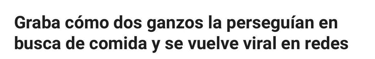 Kinxoc's tweet image. @ruleiro @eltalcha #PoderosoEnLlamas