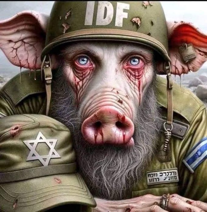 Muhamme23189751's tweet photo. Lanetli israil https://t.co/aLofFnsCP9