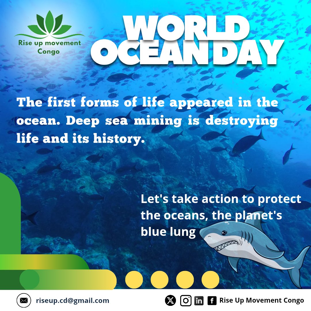 RiseUpCongo's tweet photo. The first forms of life appeared in the ocean. It produces at least 50% of the planet's oxygen, absorbing around 30% of the CO2 produced by human actions, and thus mitigating the impact of climate change. 1/2
#UNOC3 #WorldOceansDay https://t.co/7K2NaWsCF5