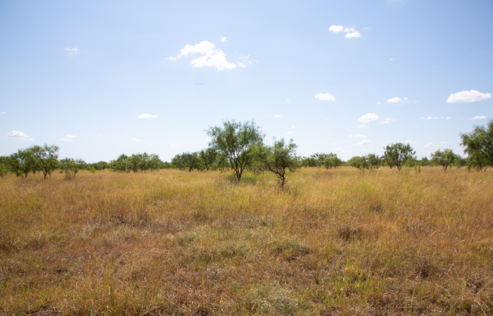 Jacob Bible tweet media