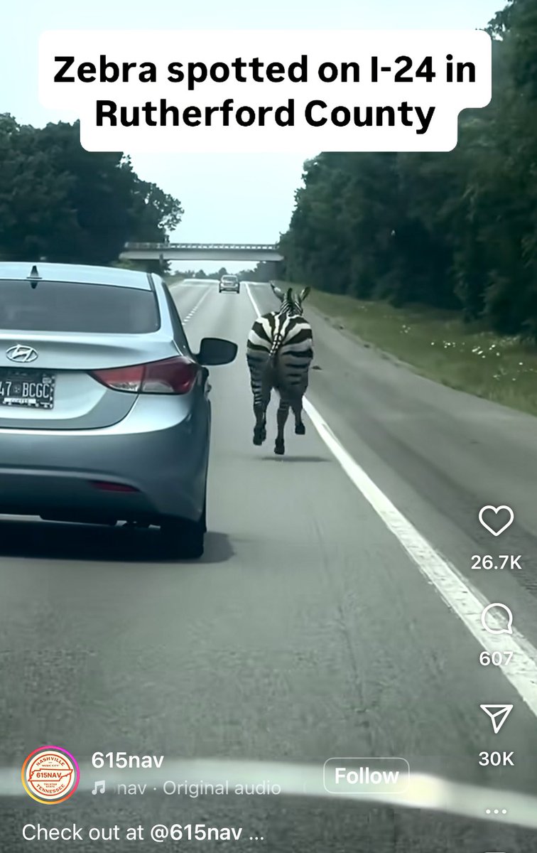 THUDore's tweet image. In the meantime on the interstate in #Tennessee … 在甜娜西的高速路上…