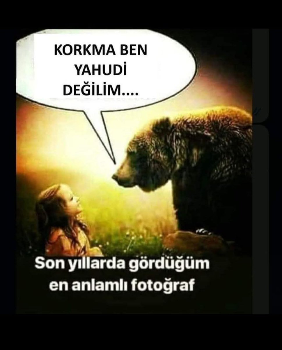 Muhamme23189751's tweet photo. Vahşi hayvanlardan farkı yok israilin https://t.co/ArkfBKuqCl